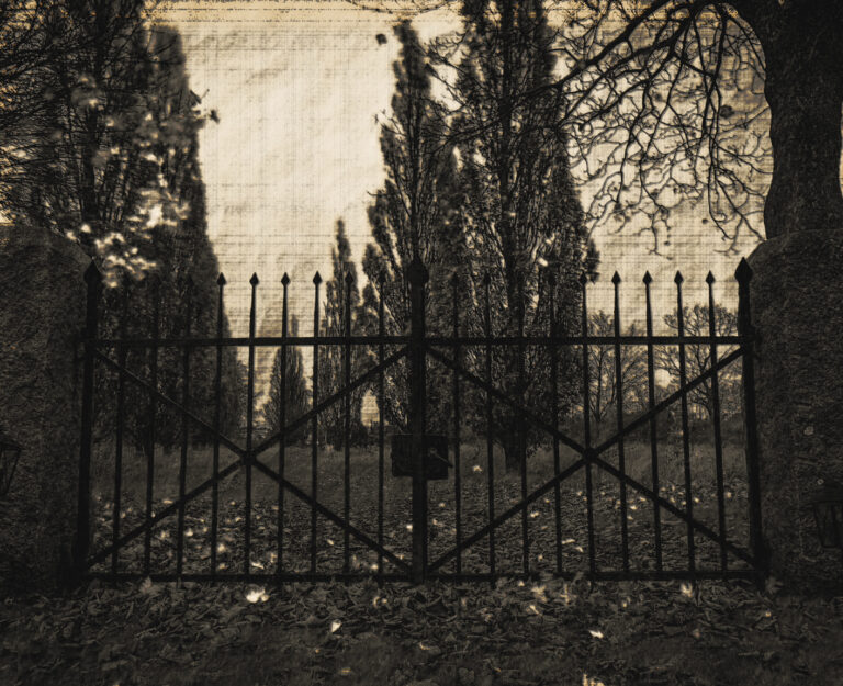 A sepia, textured photograph of a wrought-iron cemetery gate flanked by tall poplars and bare branches